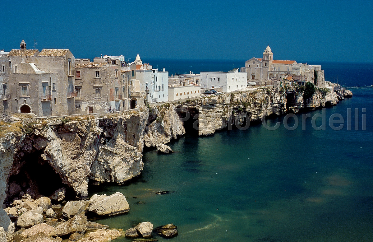 Vieste, Gargano National Park, Puglia, Italy
(cod:Puglia 14)